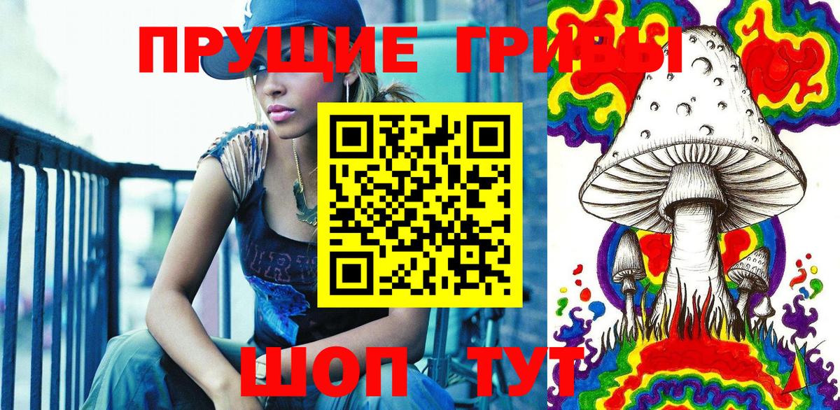 Клинцы  Псилоцибиновые грибы Psilocybe  Вход с VPN  Псилоцибиновые грибы GOLDEN TEACHER 